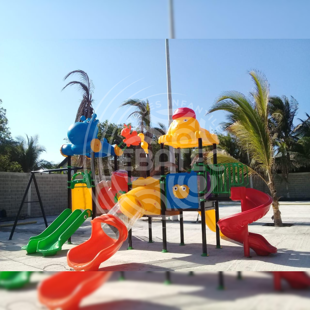 imagen-6