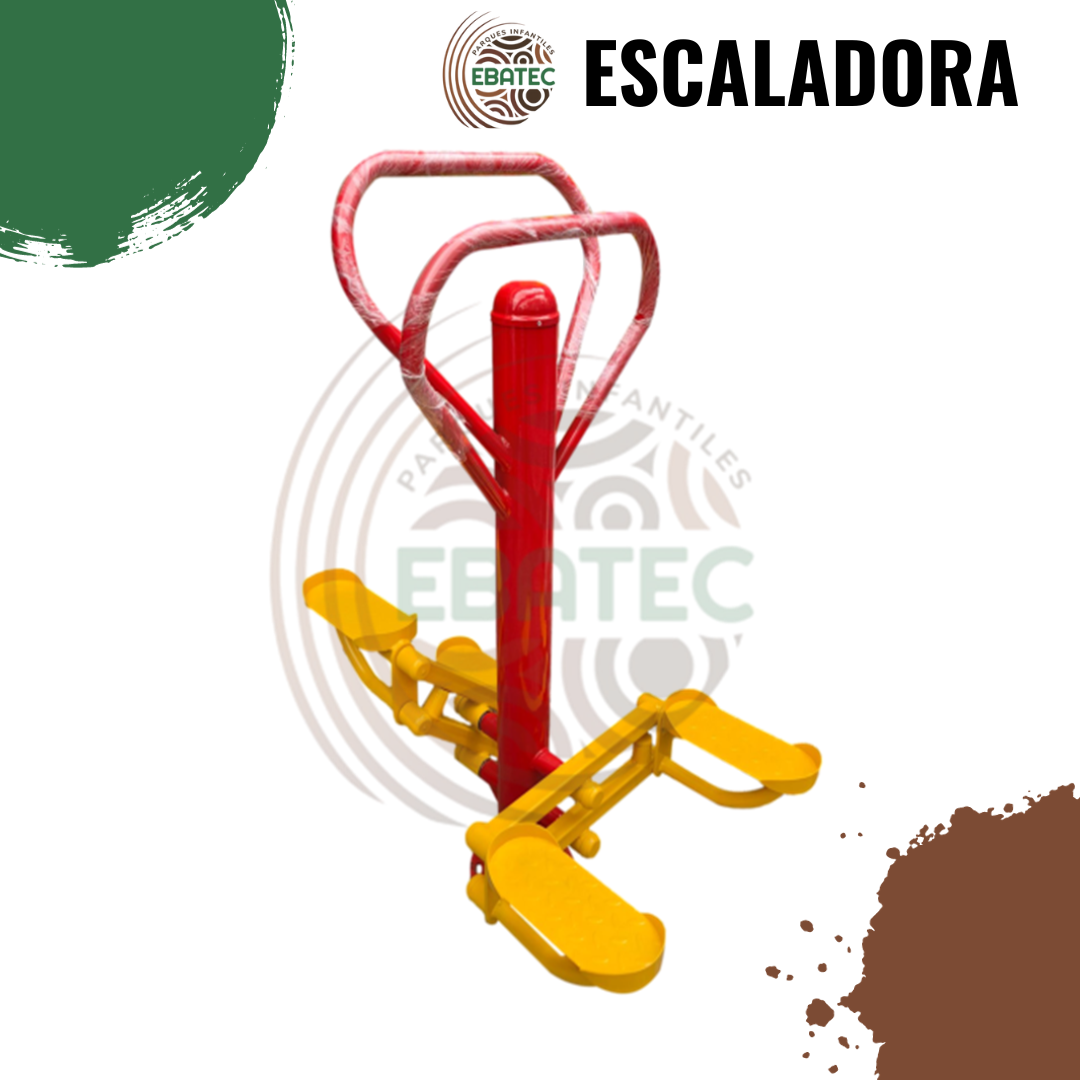 imagen-11
